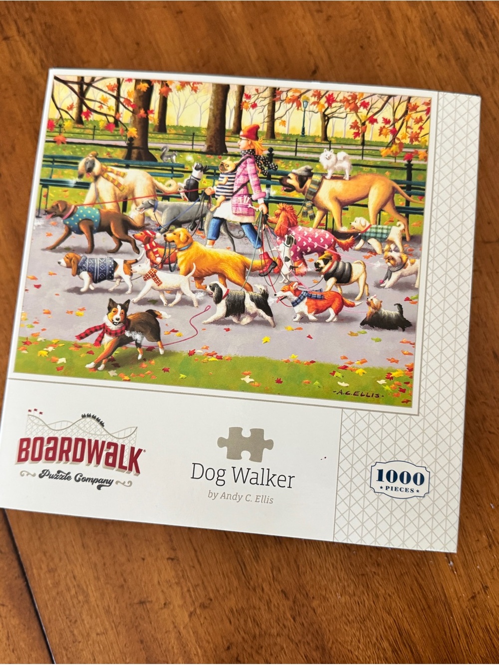 Dog Walker Puzzle - Multi-Color